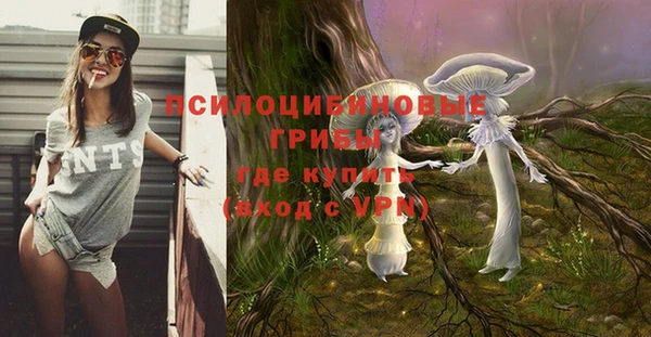 марихуана Белокуриха
