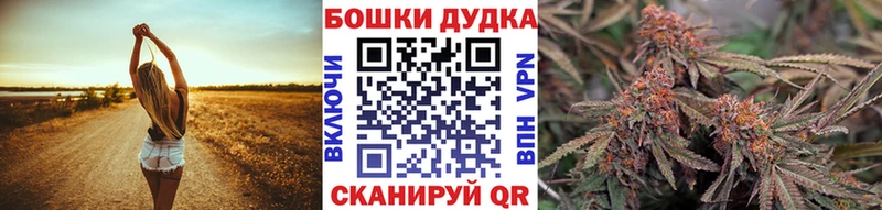 Купить где  Каменск-Шахтинский  МАРИХУАНА VHQ 